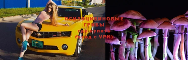 MDMA Premium VHQ Белокуриха