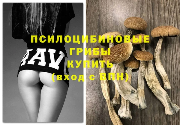 ешки Белоозёрский