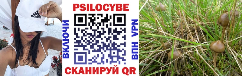 Галлюциногенные грибы GOLDEN TEACHER  Нерюнгри 